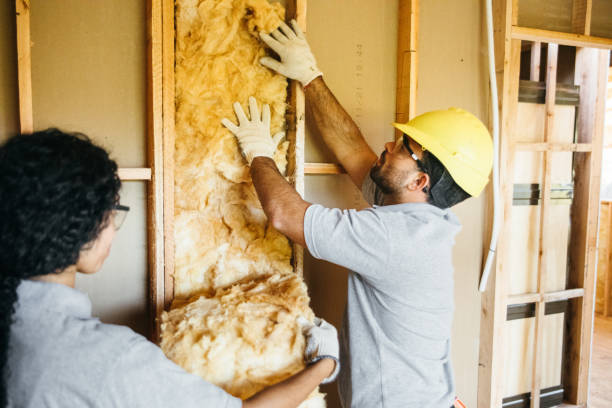 Best Insulation Contractors for Homes  in Matamoras, PA